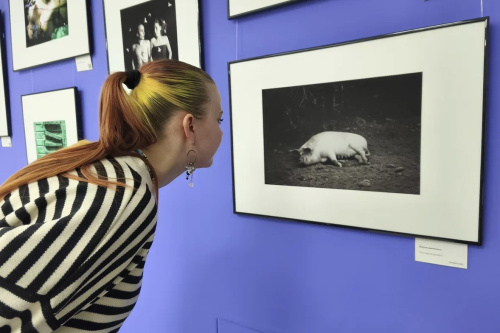 В Москве открылась фотовыставка студентов МГИК